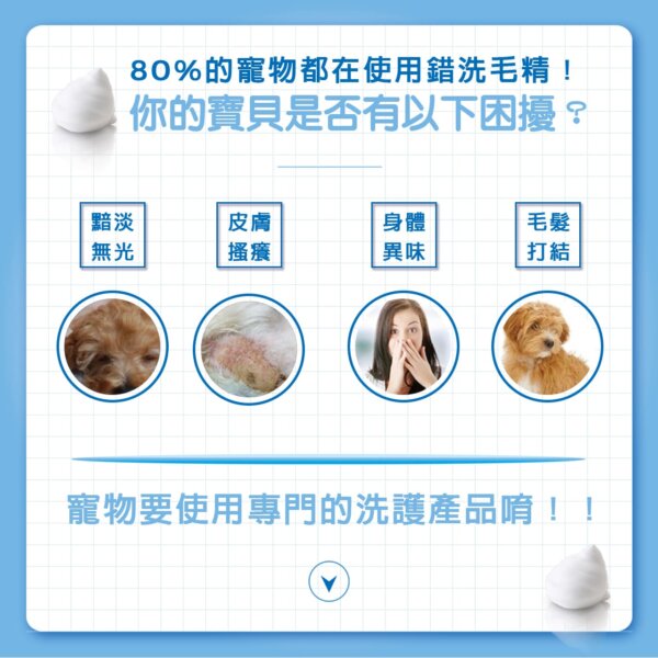 【犬用】寵物肌膚護理洗毛精-強效去味 (鼠尾草奶茶泡泡香氛) 500ML-003