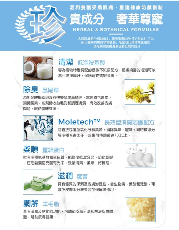 【犬用】寵物肌膚護理洗毛精-強效去味 (鼠尾草奶茶泡泡香氛) 500ML-005