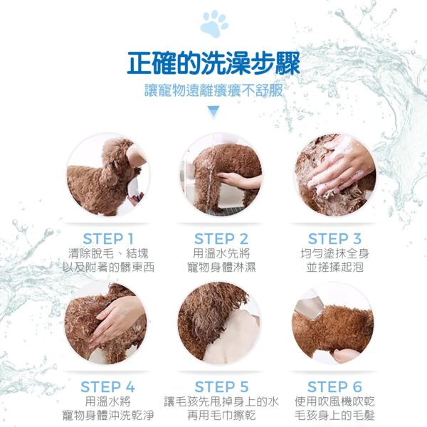 【犬用】寵物肌膚護理洗毛精-強效去味 (鼠尾草奶茶泡泡香氛) 500ML-009