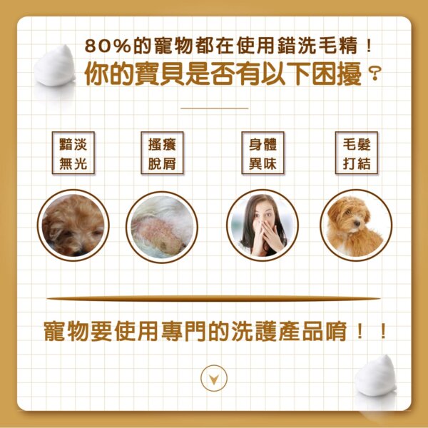 【犬用】寵物肌膚護理洗毛精-棕色亮澤洗毛精 (聖誕雪松棒棒糖泡泡香氛) 500ML-003