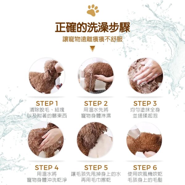【犬用】寵物肌膚護理洗毛精-棕色亮澤洗毛精 (聖誕雪松棒棒糖泡泡香氛) 500ML-009