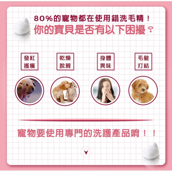 【犬貓通用】寵物肌膚護理洗毛精-問題肌修護洗毛精 (玫瑰莊園薄荷泡泡香氛) 500ML-003