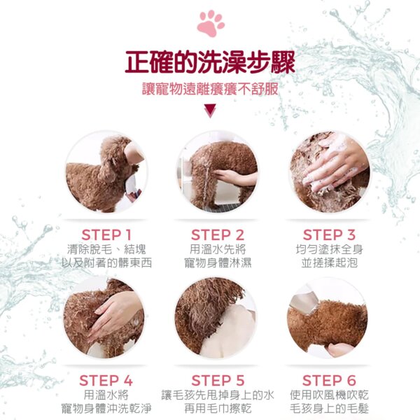 【犬貓通用】寵物肌膚護理洗毛精-問題肌修護洗毛精 (玫瑰莊園薄荷泡泡香氛) 500ML-010