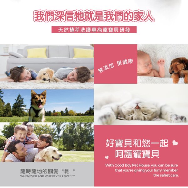 【犬貓通用】寵物肌膚護理洗毛精-問題肌修護洗毛精 (玫瑰莊園薄荷泡泡香氛) 500ML-012