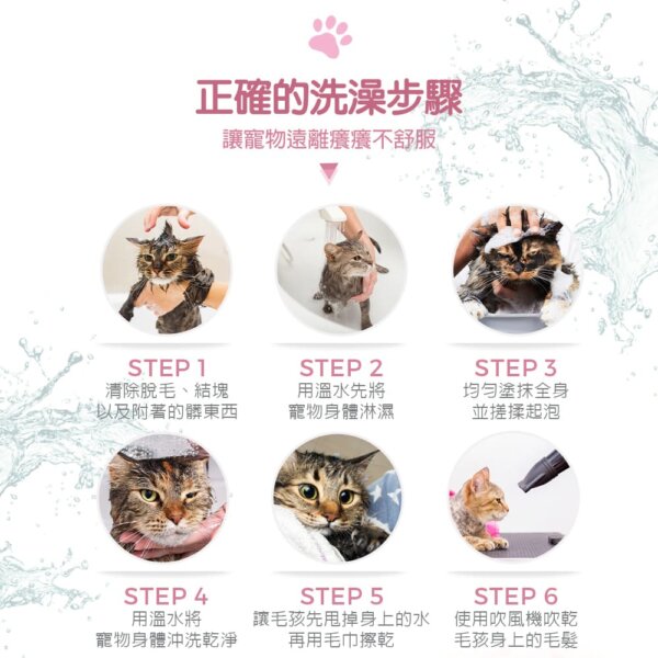 【貓用】寵物肌膚護理洗毛精-蟲蟲不愛洗毛精 (乳酸鬆餅泡泡香氛) 500ML-011