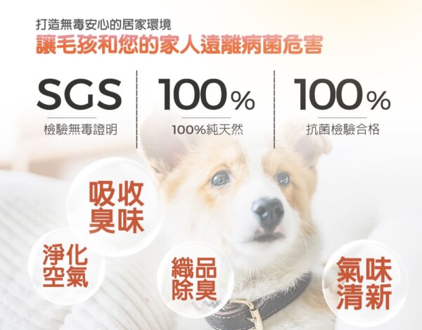 原款寵物除臭噴劑500ml-橘子清新-002