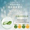 庫拉索蘆薈精靈⽔-002
