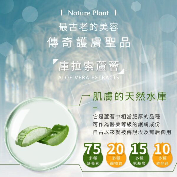 庫拉索蘆薈精靈⽔-002