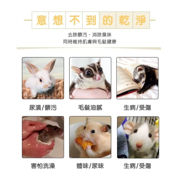擦澡速潔露-鼠兔專用-200ml-003