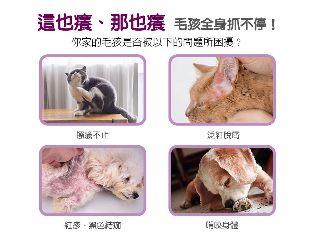 [犬貓通用]-寵物癢癢舒敏防舔咬乳液-150ml-005