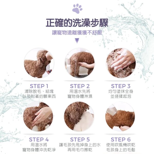 【犬用】寵物肌膚護理洗毛精-幼犬敏感洗毛精 (薰衣草森林泡泡香氛) 500ML-009