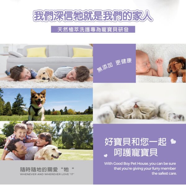 【犬用】寵物肌膚護理洗毛精-幼犬敏感洗毛精 (薰衣草森林泡泡香氛) 500ML-011