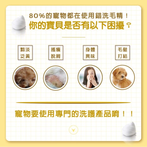 【犬用】寵物肌膚護理洗毛精-淨白去黃洗毛精 (法式牛奶糖泡泡香氛) 500ML-003