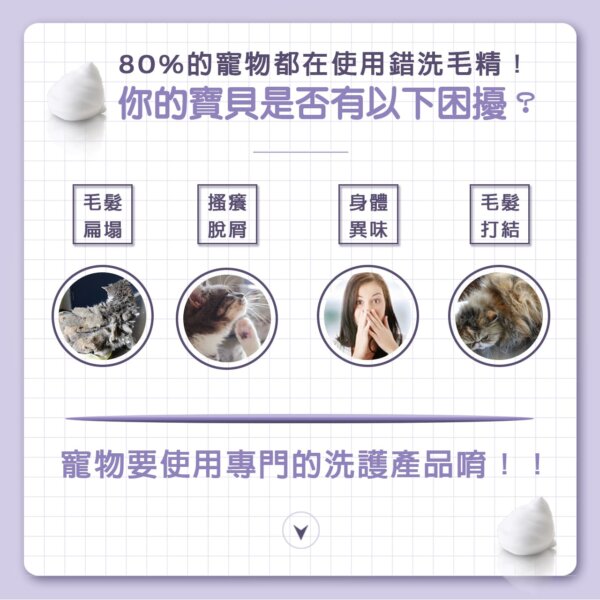 【貓用】寵物肌膚護理洗毛精–幼貓敏感洗毛精 (水蜜桃紅茶泡泡香氛) 500ML-003