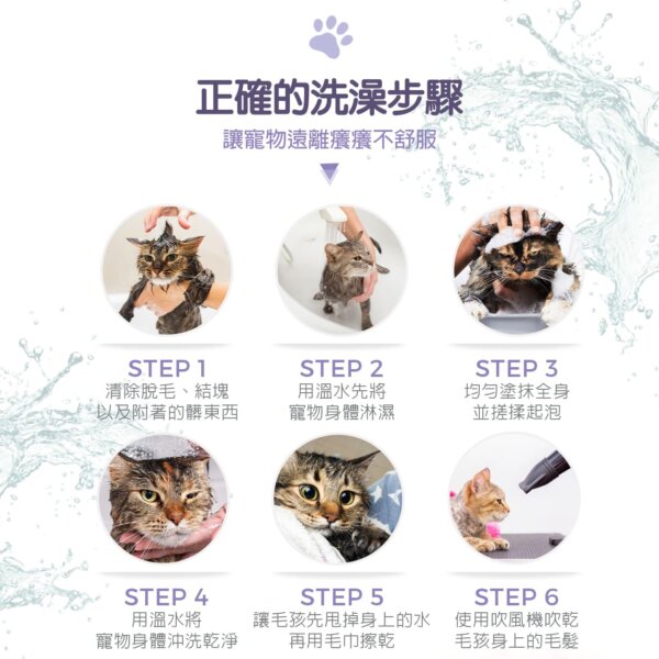 【貓用】寵物肌膚護理洗毛精–幼貓敏感洗毛精 (水蜜桃紅茶泡泡香氛) 500ML-009