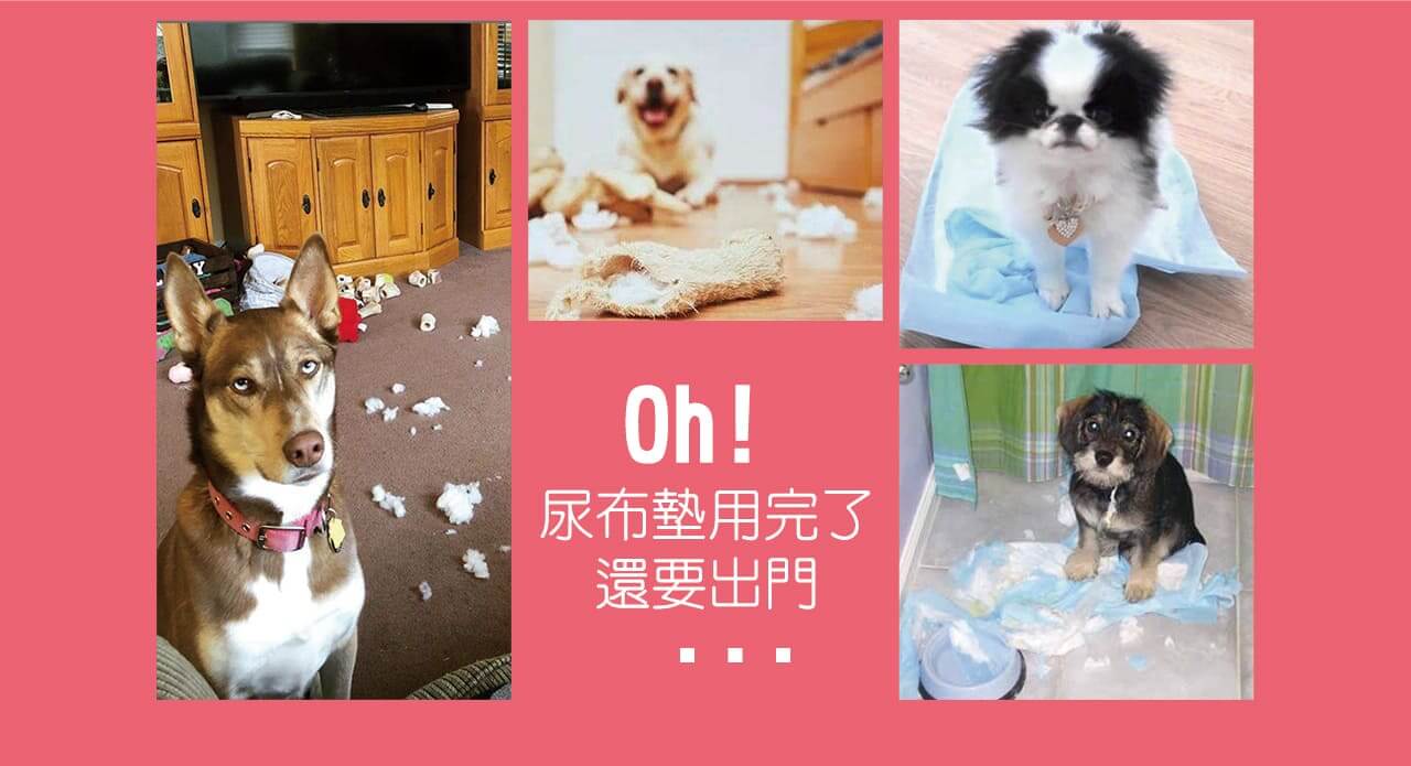 好寶貝寵物除臭尿墊★重複使用★年拋版S(粉紅)-006