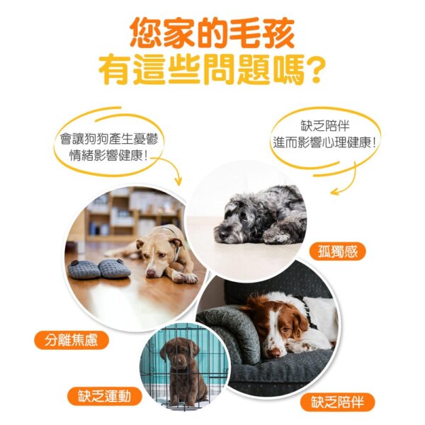 潔牙骨造型發聲玩具 – 粉紫色-004